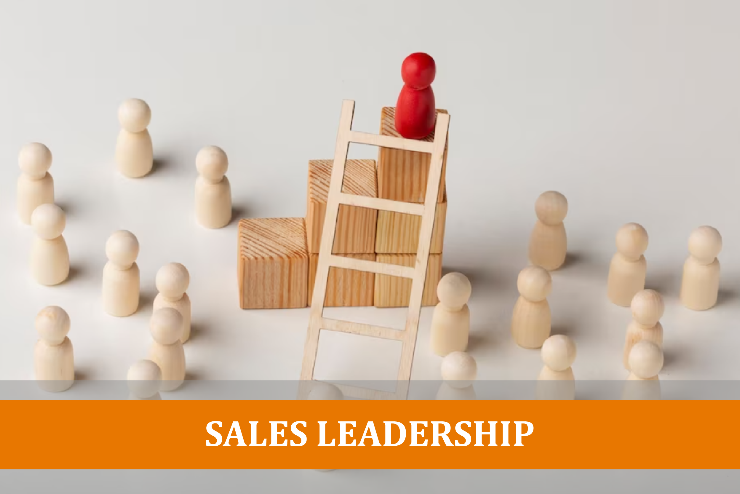 SALESLEADERSHIP