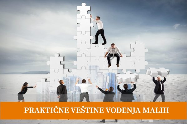 napredne-veštine-vođenja-malih-timova-omega-consulting-team
