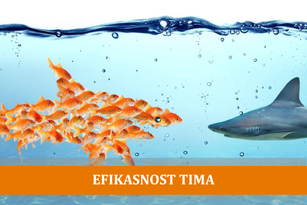 EfikasnostTima